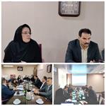 کمیته راهبردی معاونت تحقیقات و فناوری برگزار شد.