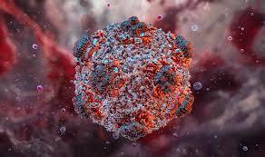 hantavirus has not yet reached the stage of a global pandemic